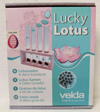 Lucky Lotus Mix